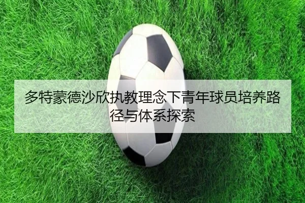 多特蒙德沙欣执教理念下青年球员培养路径与体系探索
